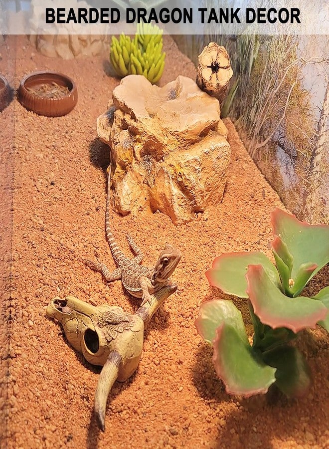 Anranmm Aquarium Decorations Cattle Skull Fish Tank Decor Bearded Dragon Tank Decor Ornaments Reptiles Hideouts Decorations Small Animal Cage Accessories Habitat Décor for Geckos Lizards Snakes - Image 3